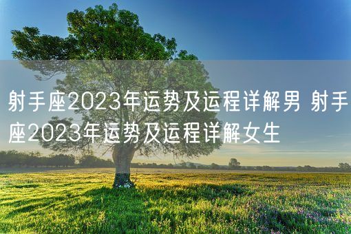 射手座2023年运势及运程详解男 射手座2023年运势及运程详解女生(图1)