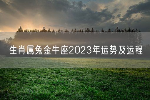 生肖属兔金牛座2023年运势及运程(图1) 生肖属兔金牛座2023年运势及运程(图1)