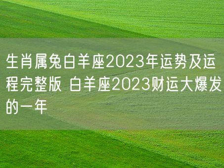 生肖属兔白羊座2023年运势及运程完整版 白羊座2023财运大爆发的一年(图1)