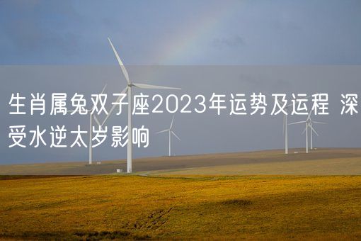 生肖属兔双子座2023年运势及运程 深受水逆太岁影响(图1)