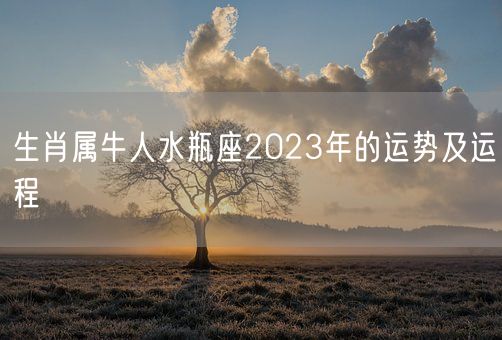 生肖属牛人水瓶座2023年的运势及运程(图1) 生肖属牛人水瓶座2023年的运势及运程(图1)