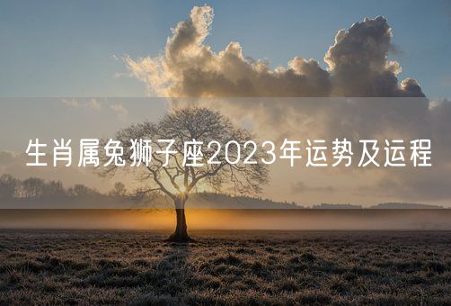 生肖属兔狮子座2023年运势及运程(图1)