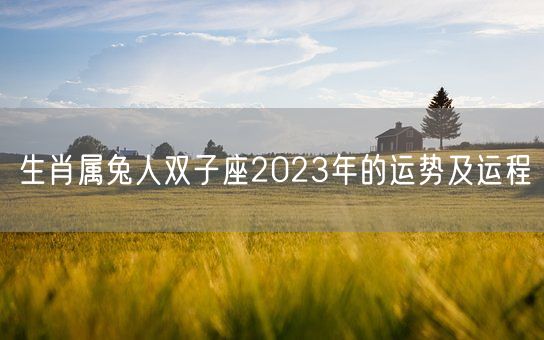 生肖属兔人双子座2023年的运势及运程(图1) 生肖属兔人双子座2023年的运势及运程(图1)