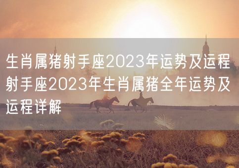 生肖属猪射手座2023年运势及运程 射手座2023年生肖属猪全年运势及运程详解(图1)
