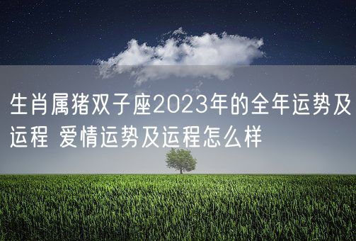 生肖属猪双子座2023年的全年运势及运程 爱情运势及运程怎么样(图1)