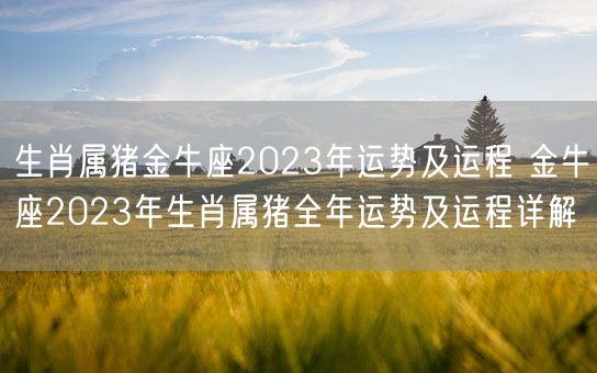 生肖属猪金牛座2023年运势及运程 金牛座2023年生肖属猪全年运势及运程详解(图1) 生肖属猪金牛座2023年运势及运程 金牛座2023年生肖属猪全年运势及运程详解(图1)