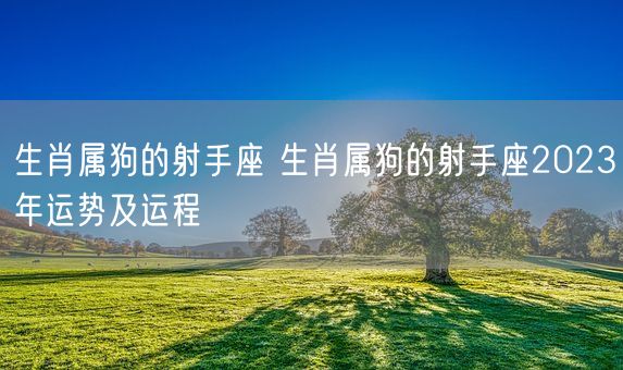 生肖属狗的射手座 生肖属狗的射手座2023年运势及运程(图1)