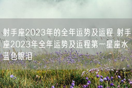 射手座2023年的全年运势及运程 射手座2023年全年运势及运程第一星座水蓝色眼泪(图1)