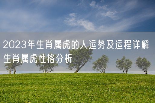 2023年生肖属虎的人运势及运程详解 生肖属虎性格分析(图1)