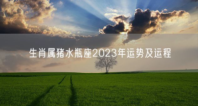 生肖属猪水瓶座2023年运势及运程(图1)