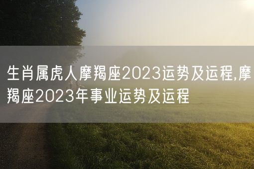 生肖属虎人摩羯座2023运势及运程,摩羯座2023年事业运势及运程(图1) 生肖属虎人摩羯座2023运势及运程,摩羯座2023年事业运势及运程(图1)