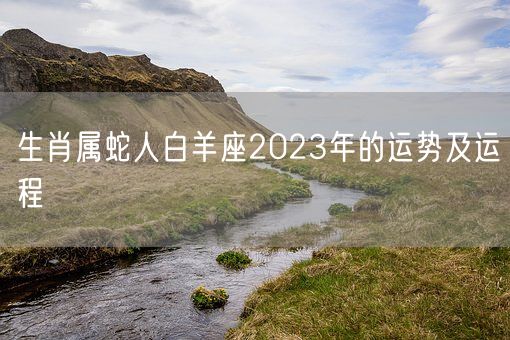 生肖属蛇人白羊座2023年的运势及运程(图1)