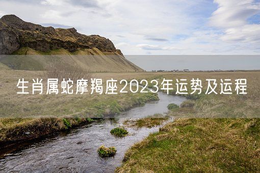 生肖属蛇摩羯座2023年运势及运程(图1)