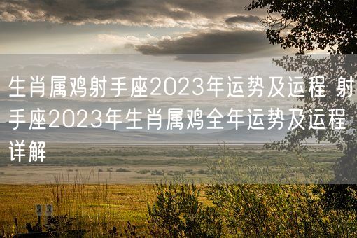 生肖属鸡射手座2023年运势及运程 射手座2023年生肖属鸡全年运势及运程详解(图1)