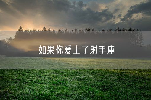 如果你爱上了射手座(图1)