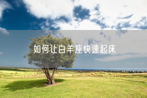 如何让白羊座快速起床(图1)