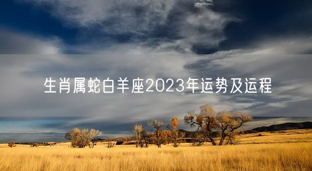 生肖属蛇白羊座2023年运势及运程(图1)