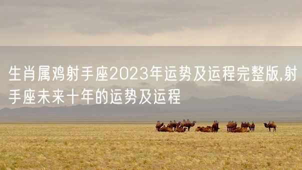 生肖属鸡射手座2023年运势及运程完整版,射手座未来十年的运势及运程(图1)