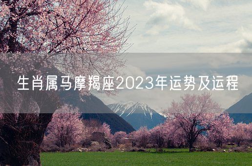 生肖属马摩羯座2023年运势及运程(图1)