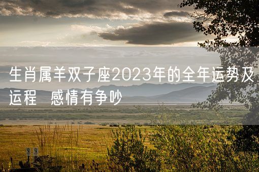 生肖属羊双子座2023年的全年运势及运程  感情有争吵(图1)