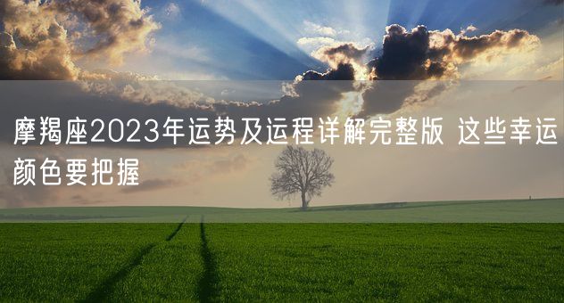 摩羯座2023年运势及运程详解完整版 这些幸运颜色要把握(图1)
