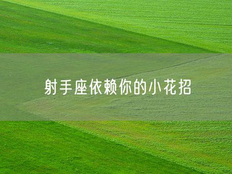 射手座依赖你的小花招(图1)