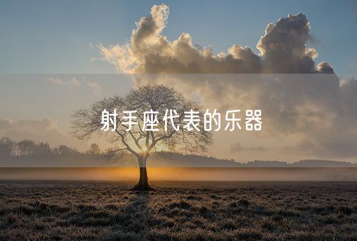射手座代表的乐器(图1)