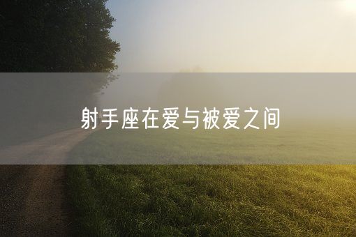 射手座在爱与被爱之间(图1)