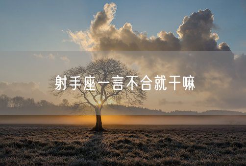 射手座一言不合就干嘛(图1)