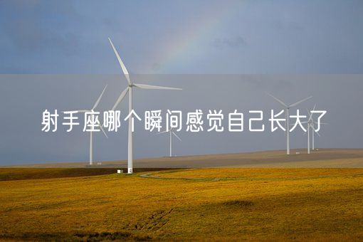 射手座哪个瞬间感觉自己长大了(图1)