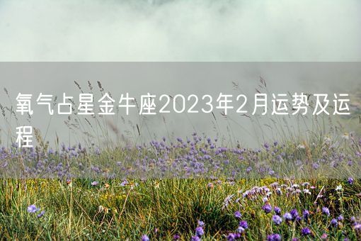 氧气占星金牛座2023年2月运势及运程(图1)