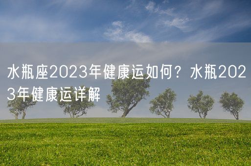 水瓶座2023年健康运如何？水瓶2023年健康运详解(图1)