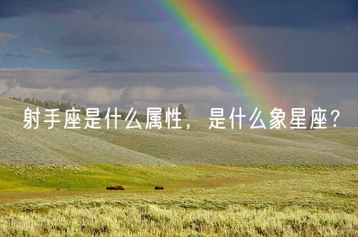 射手座是什么属性，是什么象星座？(图1)