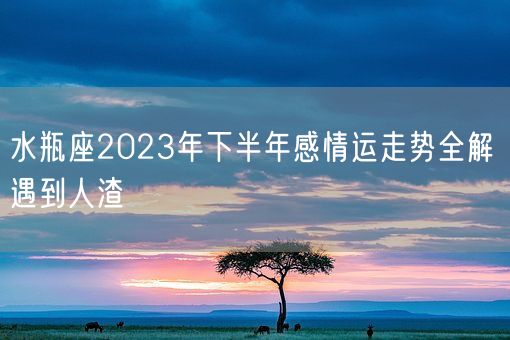 水瓶座2023年下半年感情运走势全解 遇到人渣(图1)