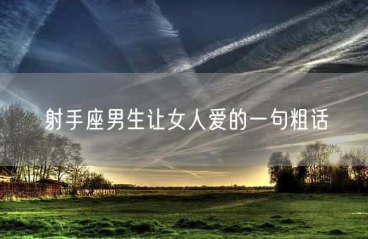 射手座男生让女人爱的一句粗话(图1)