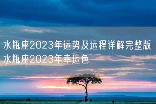 水瓶座2023年运势及运程详解完整版 水瓶座2023年幸运色(图1)
