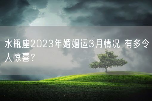 水瓶座2023年婚姻运3月情况 有多令人惊喜？(图1)