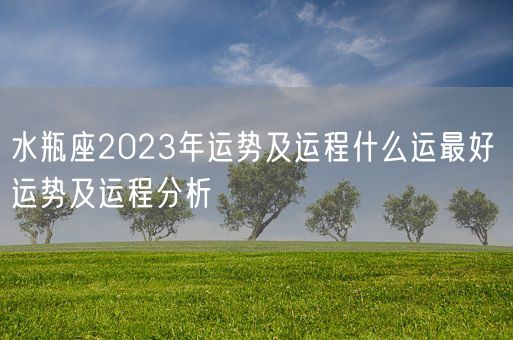 水瓶座2023年运势及运程什么运最好 运势及运程分析(图1)