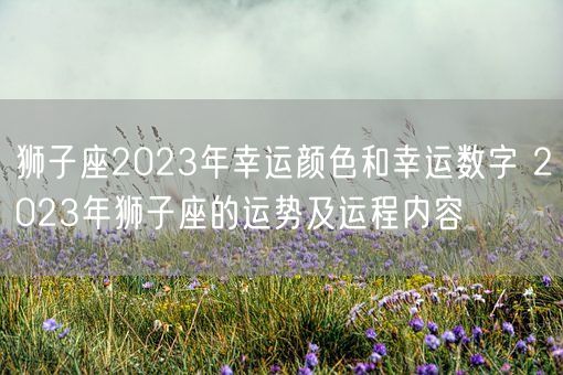 狮子座2023年幸运颜色和幸运数字 2023年狮子座的运势及运程内容(图1)