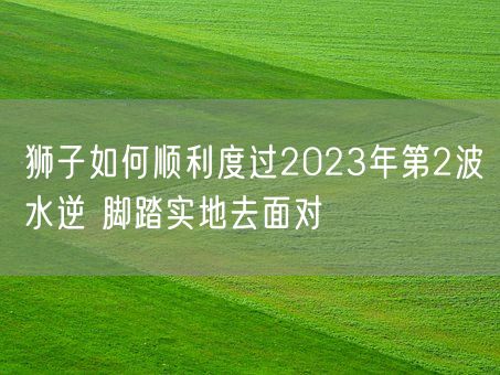 狮子如何顺利度过2023年第2波水逆 脚踏实地去面对(图1)