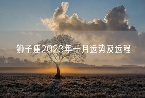 狮子座2023年一月运势及运程(图1)