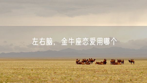 左右脑,金牛座恋爱用哪个(图1) 左右脑,金牛座恋爱用哪个(图1)