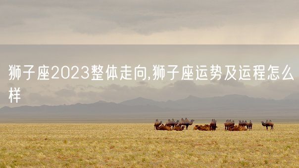 狮子座2023整体走向,狮子座运势及运程怎么样(图1)