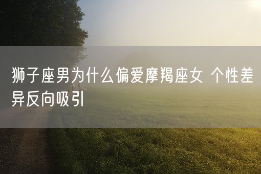 狮子座男为什么偏爱摩羯座女 个性差异反向吸引(图1)