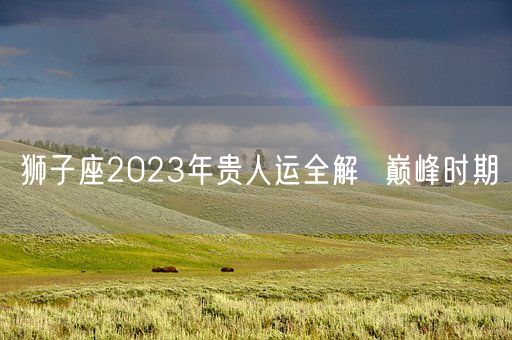 狮子座2023年贵人运全解  巅峰时期(图1)