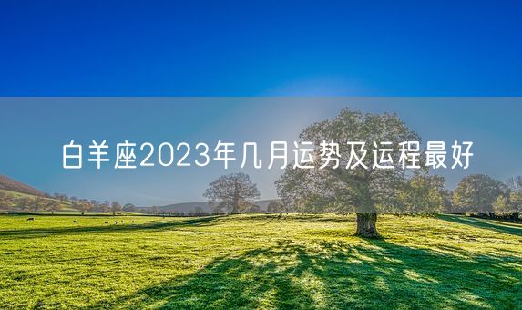 白羊座2023年几月运势及运程最好(图1)