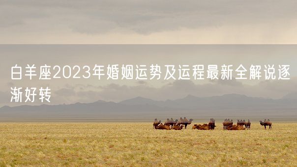 白羊座2023年婚姻运势及运程最新全解说逐渐好转(图1)