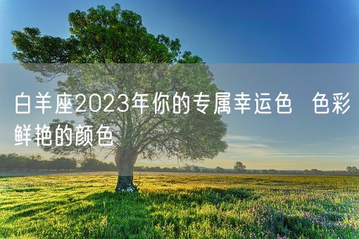 白羊座2023年你的专属幸运色  色彩鲜艳的颜色(图1)