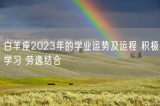 白羊座2023年的学业运势及运程 积极学习 劳逸结合(图1)