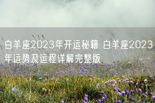 白羊座2023年开运秘籍 白羊座2023年运势及运程详解完整版(图1)